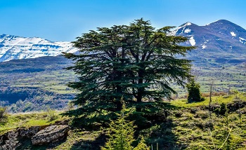 برامج رحلات  لبنان من بيروت