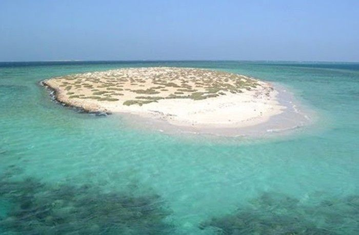 رحله بالقارب الى جزر حماتا من مرسى علم