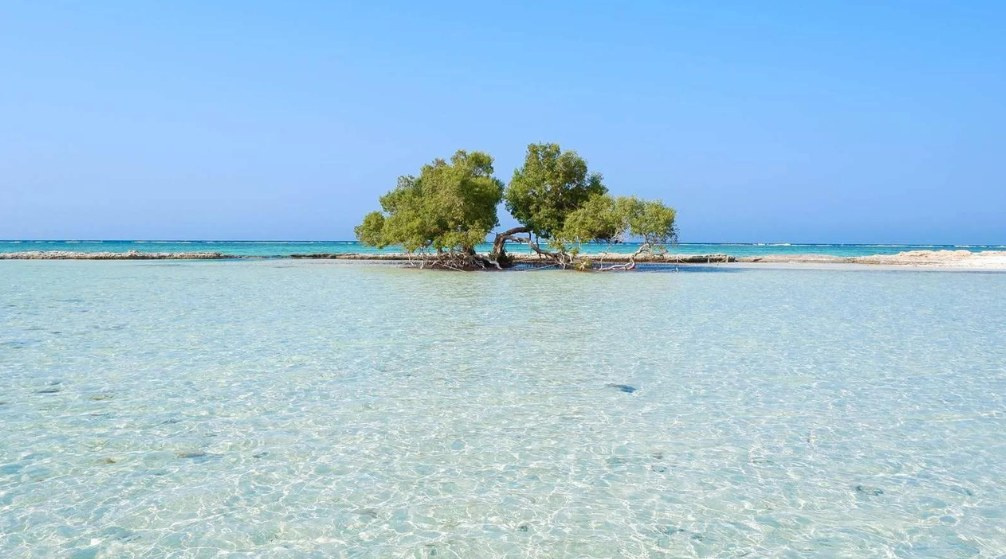 Sortie snorkeling à Sharm el Lulli et wadi El Qulaan depuis Port Ghalib