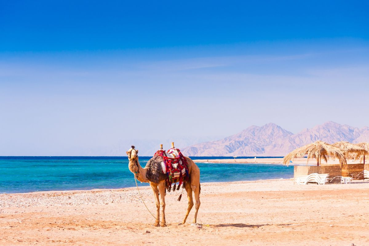 13 Day tour package Cairo and Sharm el Sheikh