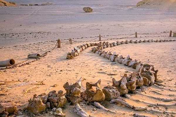 13 Days Egypt Desert Tour