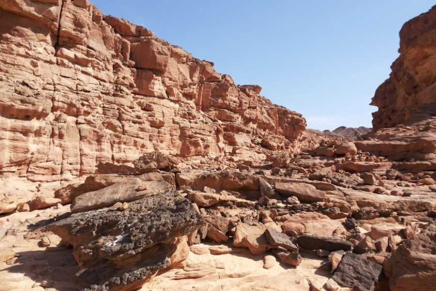 2 Day Trip to Mount Sinai and St.Catherine From Sharm El Sheikh
