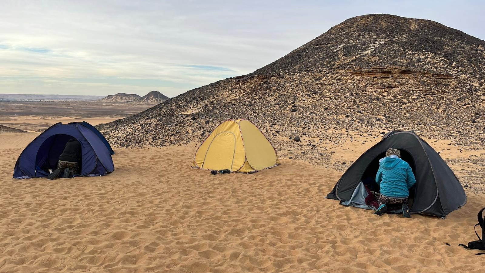 3 Day Trip to the White Desert and wadi el Hitan from Hurghada