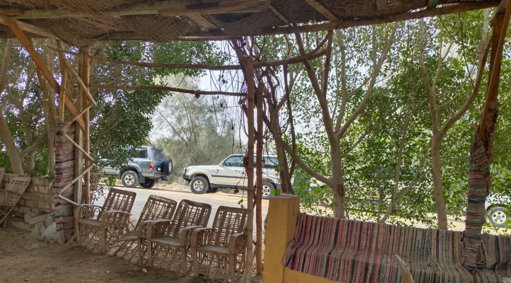 4 Days Trip to wadi el Hitan and El Minya with Drop off in Luxor