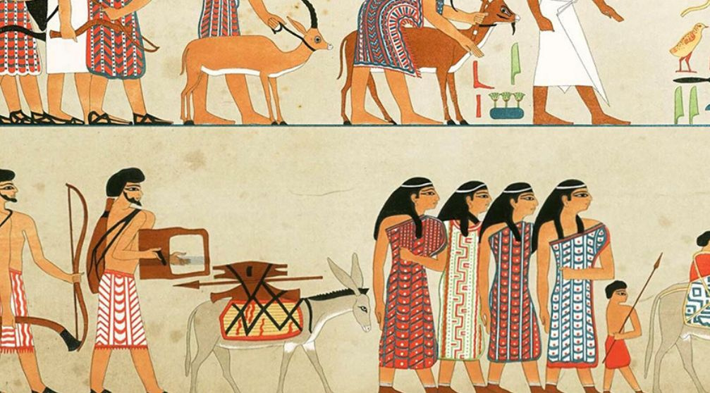 4 Days Trip to wadi el Hitan and El Minya with Drop off in Luxor