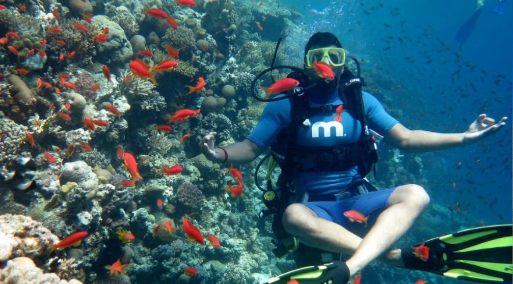 8 Days itinerary Nile cruise and Red Sea From Cairo