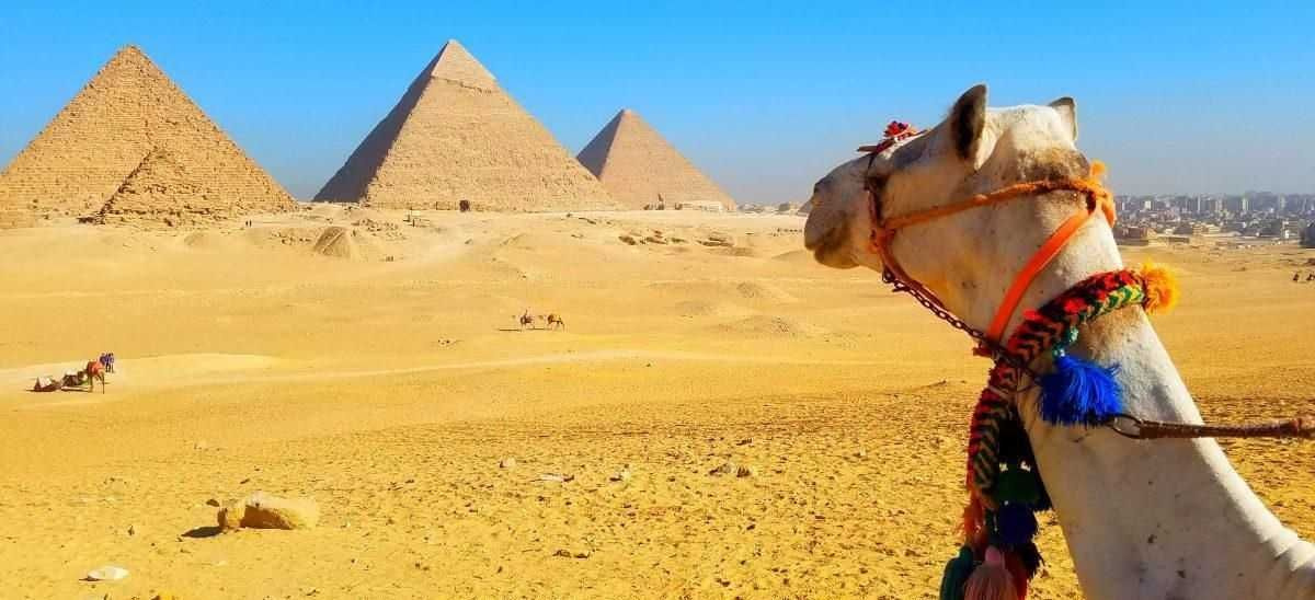 Cairo Day tour from Sharm el sheikh by plane