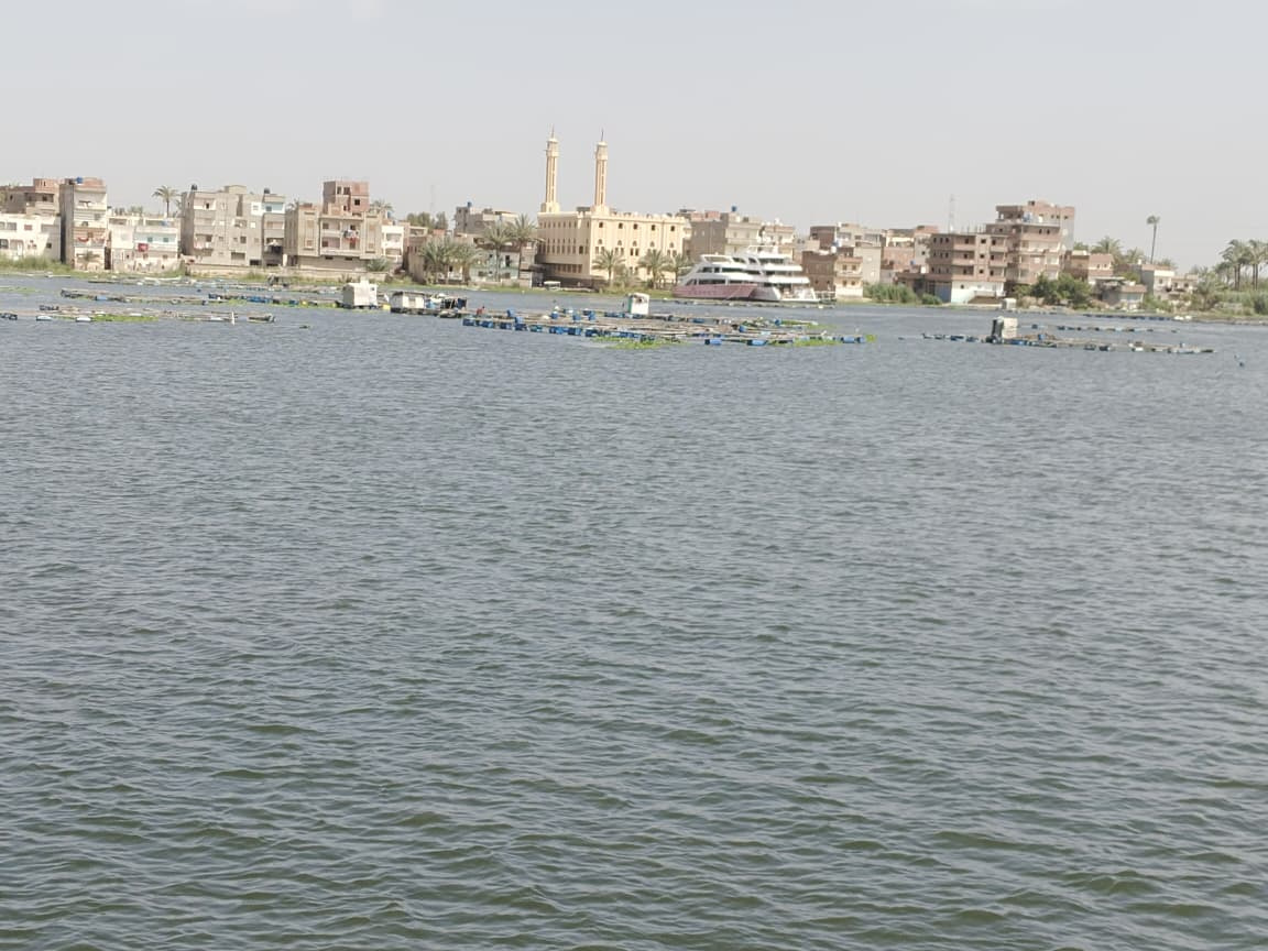 Day Trip to Rosetta from Cairo