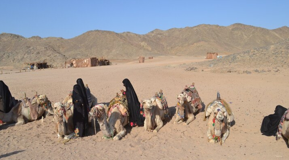 Desert Super Safari Trip by Jeep from Port Ghalib