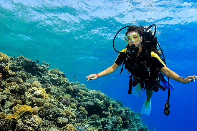 Diving Excursion at Ras Mohammed tour from Sharm el Sheikh