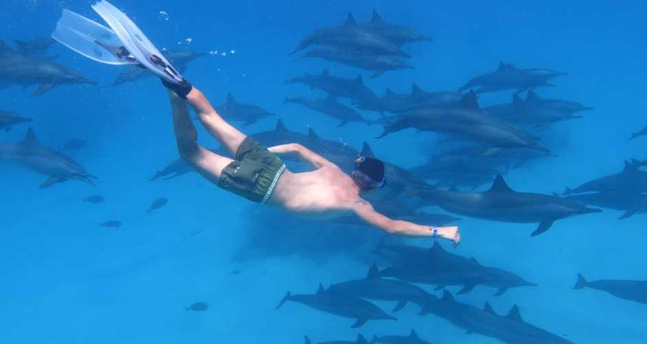 Diving Excursion at Shaab Samadai from Marsa Alam