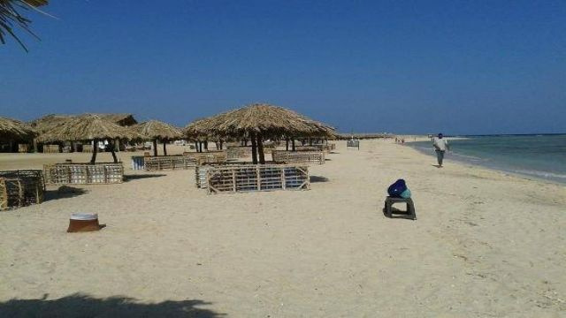 Find the Dugong by Speed Boat in Port Ghalib
