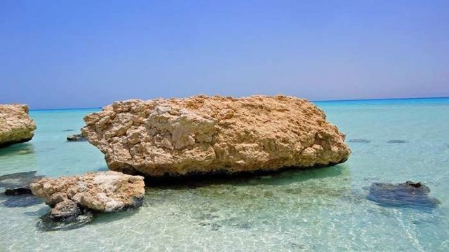 Half day Sharm El Luli snorkeling tour from Marsa Alam