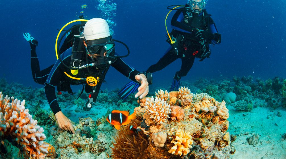 Marsa Mubarak Diving trip from Port Ghalib