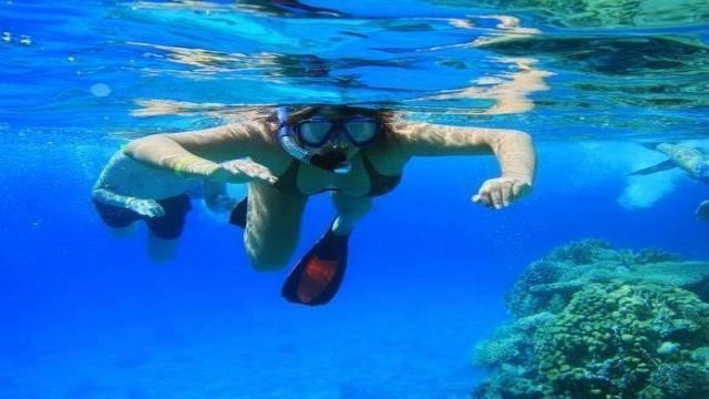 Private boat tour to Hamata island from Port Ghalib