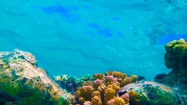 Private boat trip to Hamata island from Port Ghalib