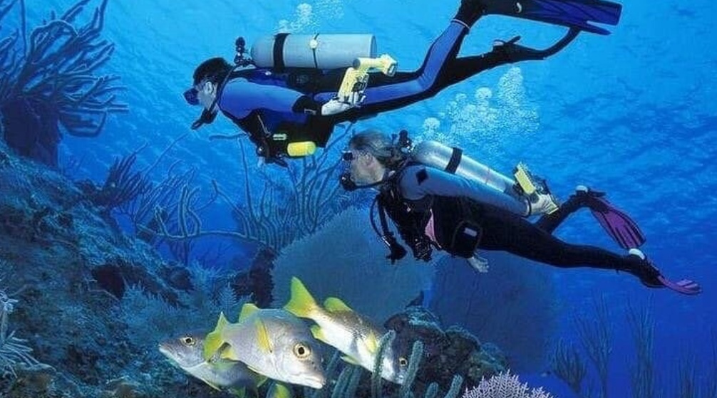 Private trip to wadi El Gemal from El Quseir