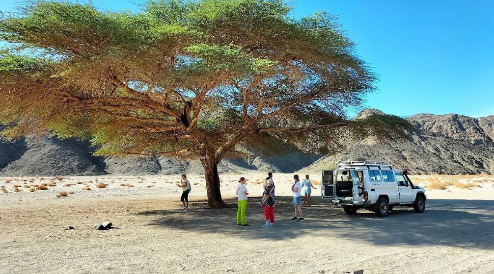Private trip to wadi El Gemal from El Quseir