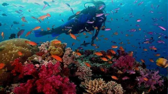 Scuba Diving Day trip from Makadi