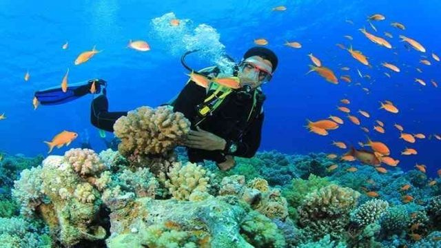 Scuba Diving Day trip from Makadi