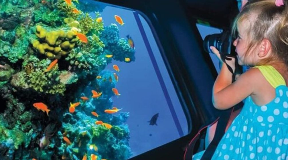 Semi Submarine trip from Port Ghalib Semi Submarine tour from Port Ghalib