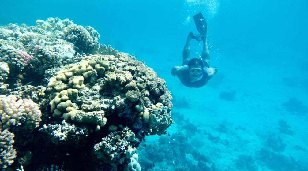Snorkeling Day trip to wadi El Qulaan and  Sharm el Lulli from El Quseir