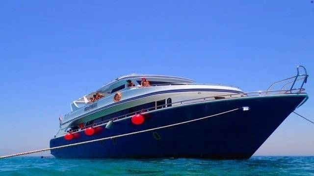 Snorkeling Trip to Sataya Dolphin Reef from El Quseir