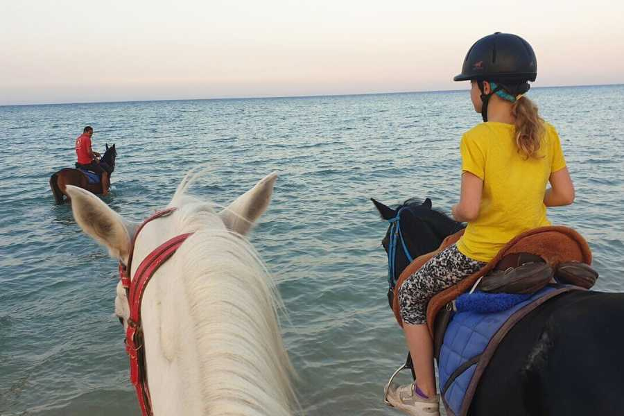 Sunset Horse riding in Hurghada 2 hours by the desert and the Sea