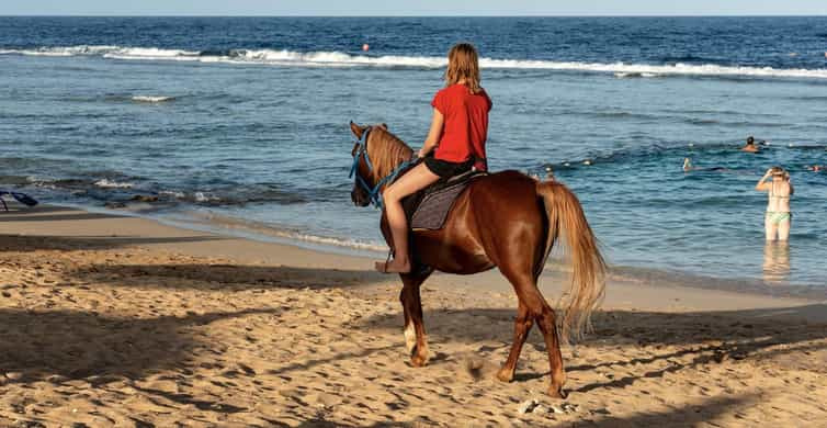 Sunset Horse riding in Hurghada 2 hours by the desert and the Sea