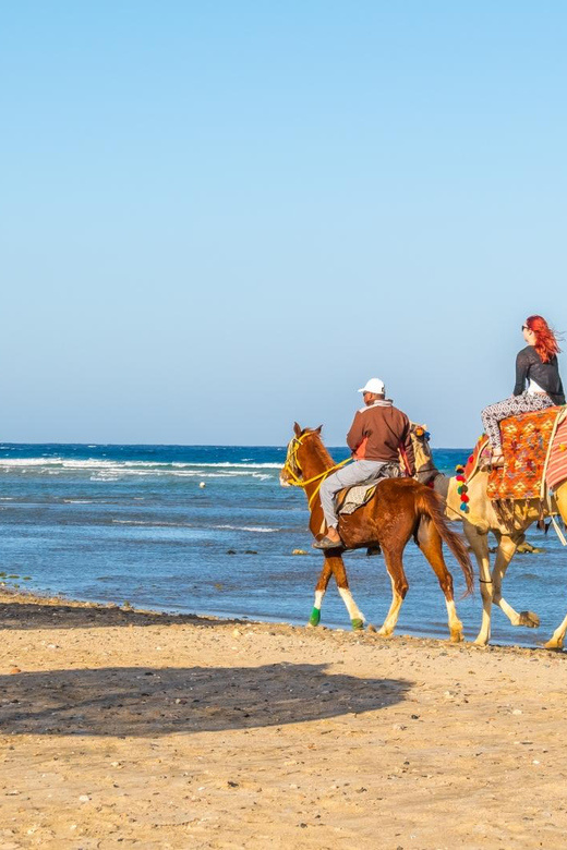 Sunset Horse riding in Hurghada 2 hours by the desert and the Sea