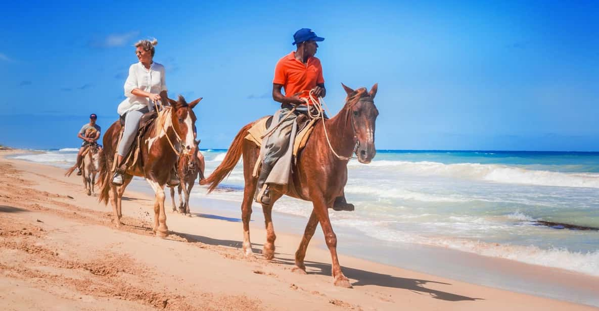 Sunset Horse riding in Hurghada 2 hours by the desert and the Sea
