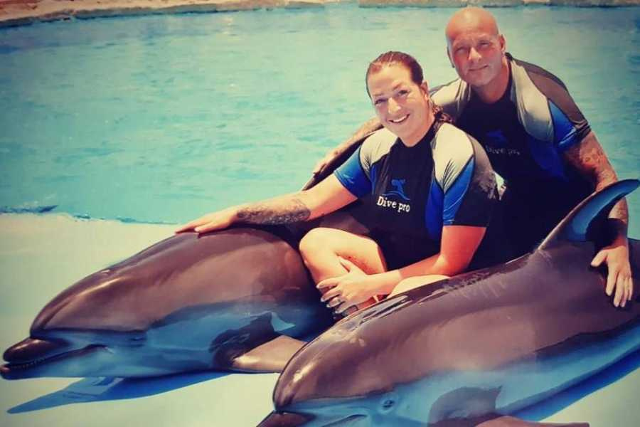 Swim with Dolphins Sharm El Sheikh | Magical Marine Encounter Swim with dolphins sharm el sheikh
