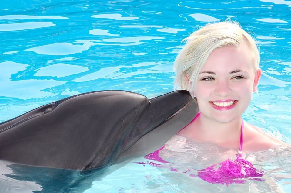 Swim with dolphins sharm el sheikh Swim with dolphins sharm el sheikh