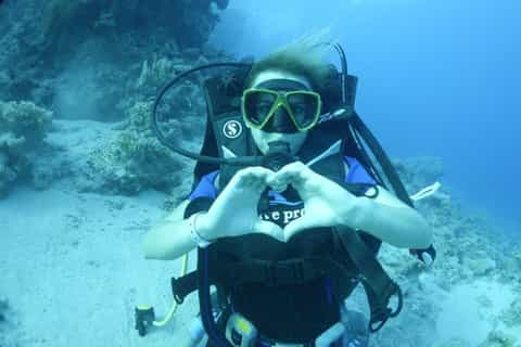 Tiran Island Diving Excursion from Sharm el Sheikh Tiran Island Diving Excursion from Sharm el Sheikh