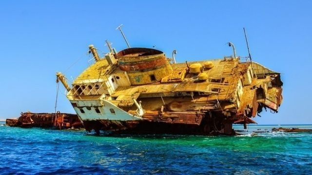 Tiran Island Snorkeling Excursion From Sharm el Sheikh