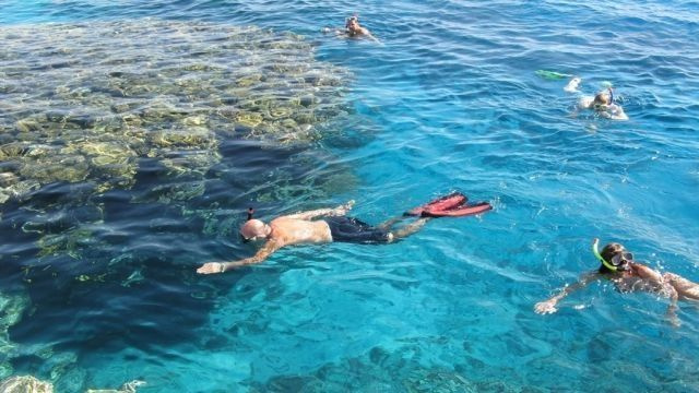 Tiran Island Snorkeling Excursion From Sharm el Sheikh