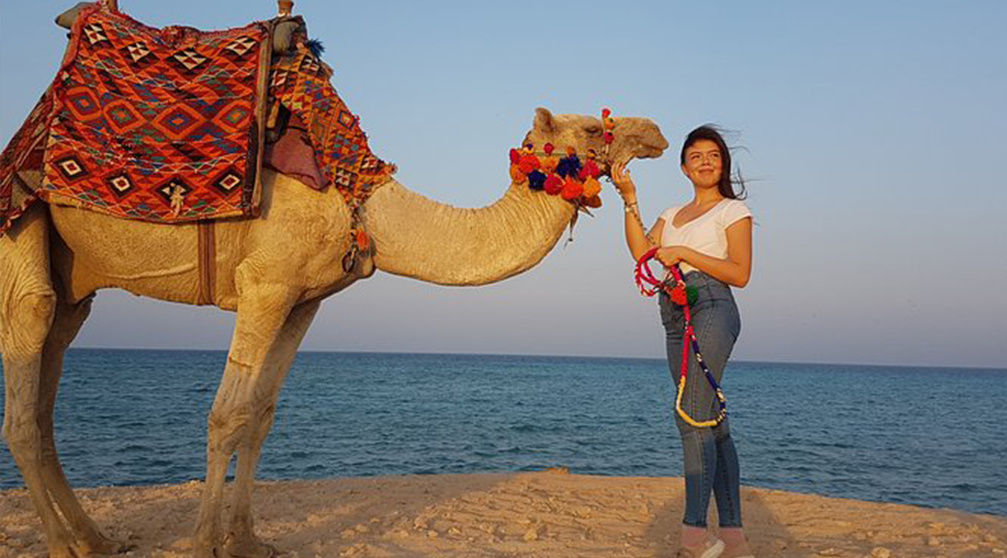 Transfers from Hurghada airport
