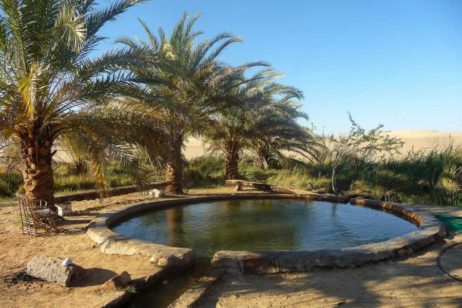 Trip to Siwa Oasis From Marsa Matrouh Trip to Siwa Oasis From Marsa Matrouh