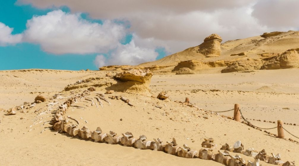 15-tägige Ägypten-Rundreise mit Rotem Meer 15 tägige Ägypten Rundreise mit Rotem Meer