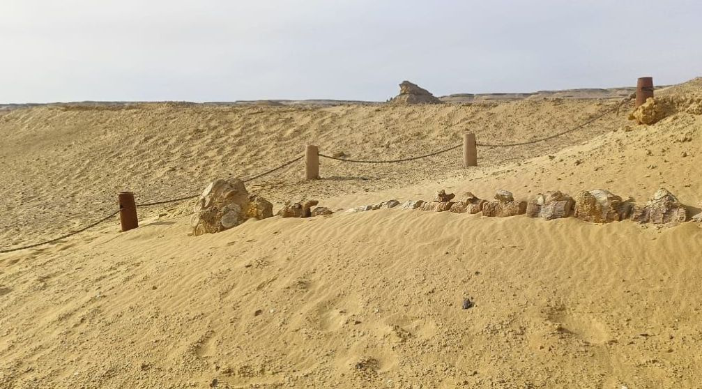 7 Tage Rundreisepaket Kairo und Fayoum