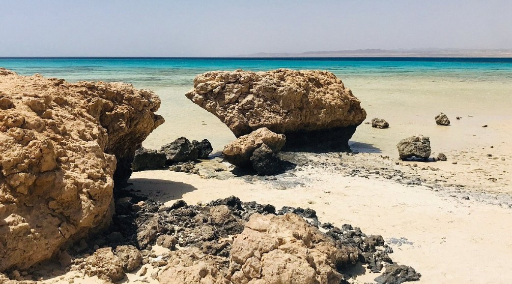 Halbtägiges Schnorcheln nach Sharm El Luli von Port Ghalib