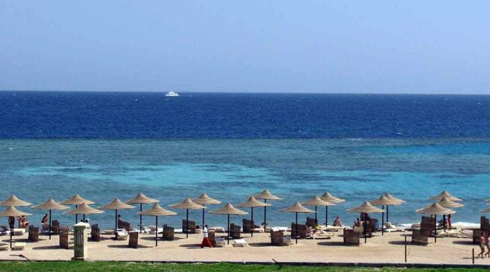 Halbtägiges Schnorcheln nach Sharm El Luli von Port Ghalib