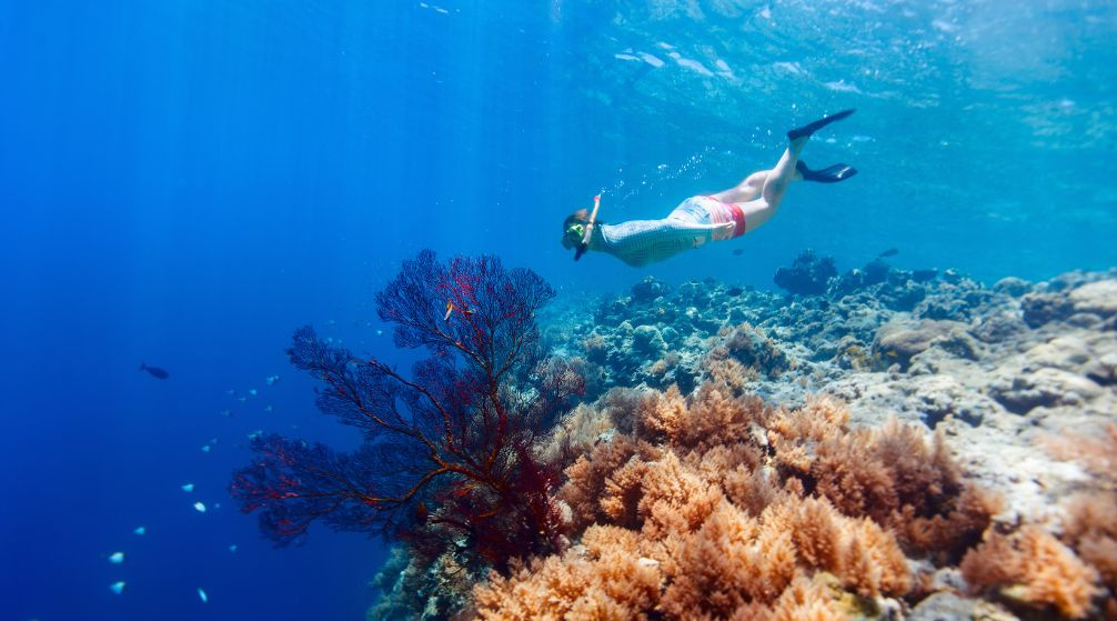 Marsa Mubarak Schnorchelausflug von Marsa Alam