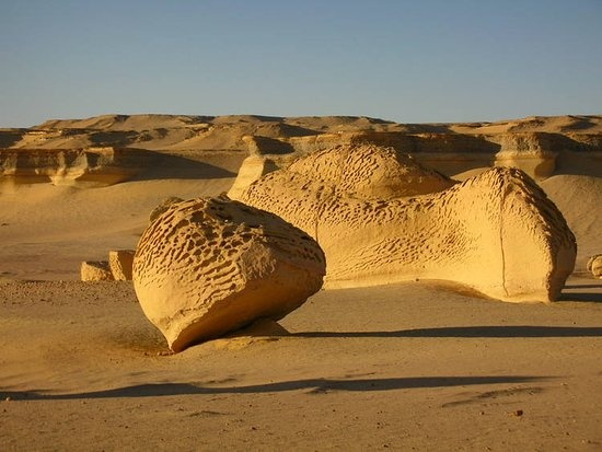 Nildelta Touren ab Kairo