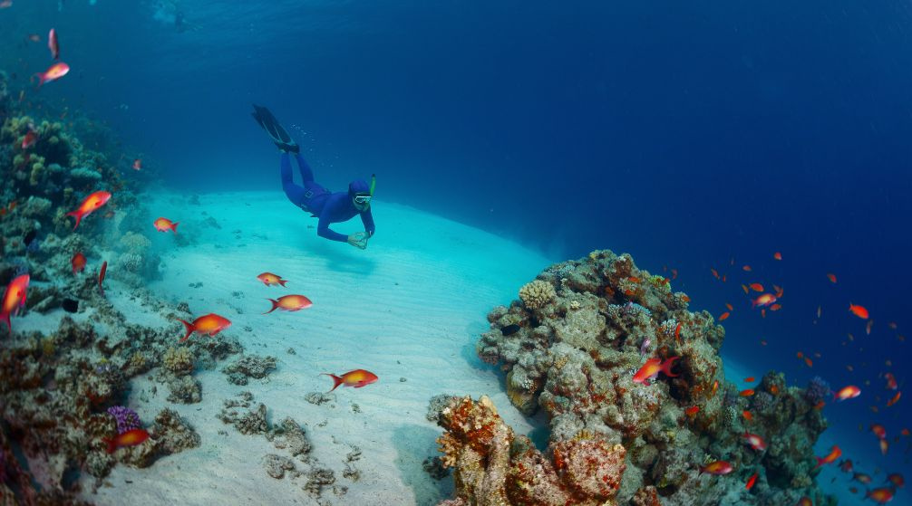 Schnorchelausflug nach Marsa Mubarak von El Quseir Schnorchelausflug nach Marsa Mubarak von El Quseir