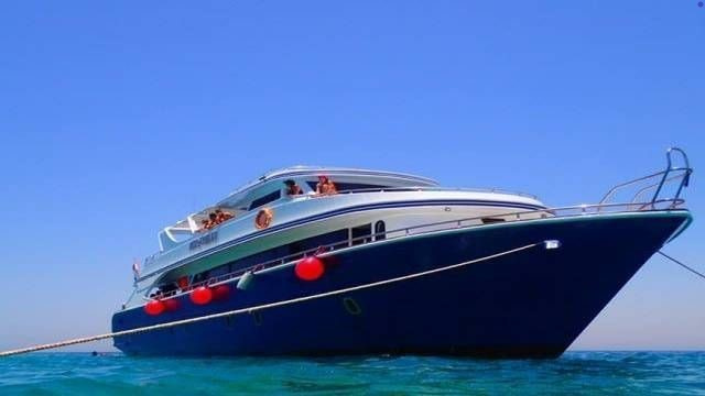 Schnorchelausflug zum Sataya Dolphin Reef von Port Ghalib