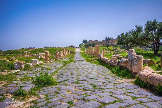 Tagestour von Amman zur Burg Jerash Ajloun Umm Qais Tagestour von Amman zur Burg Jerash Ajloun Umm Qais