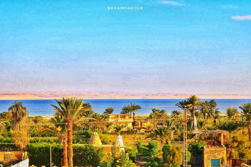 2 tägige Tour zur Fayoum Oase und zum Wadi el Hitan ab Kairo