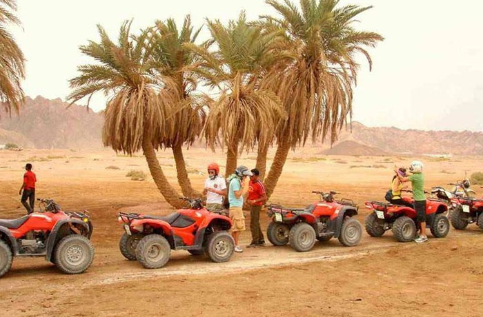 Safari-Touren ab El Quseir 