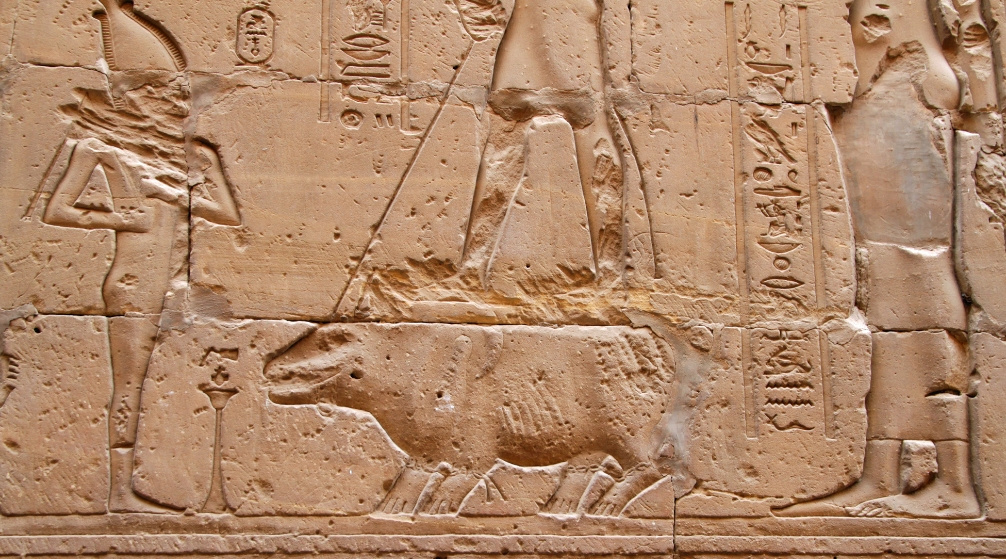 Ημερήσια εκδρομή στο ναό του Edfu και στο ναό Kom Ombo από το Λούξορ